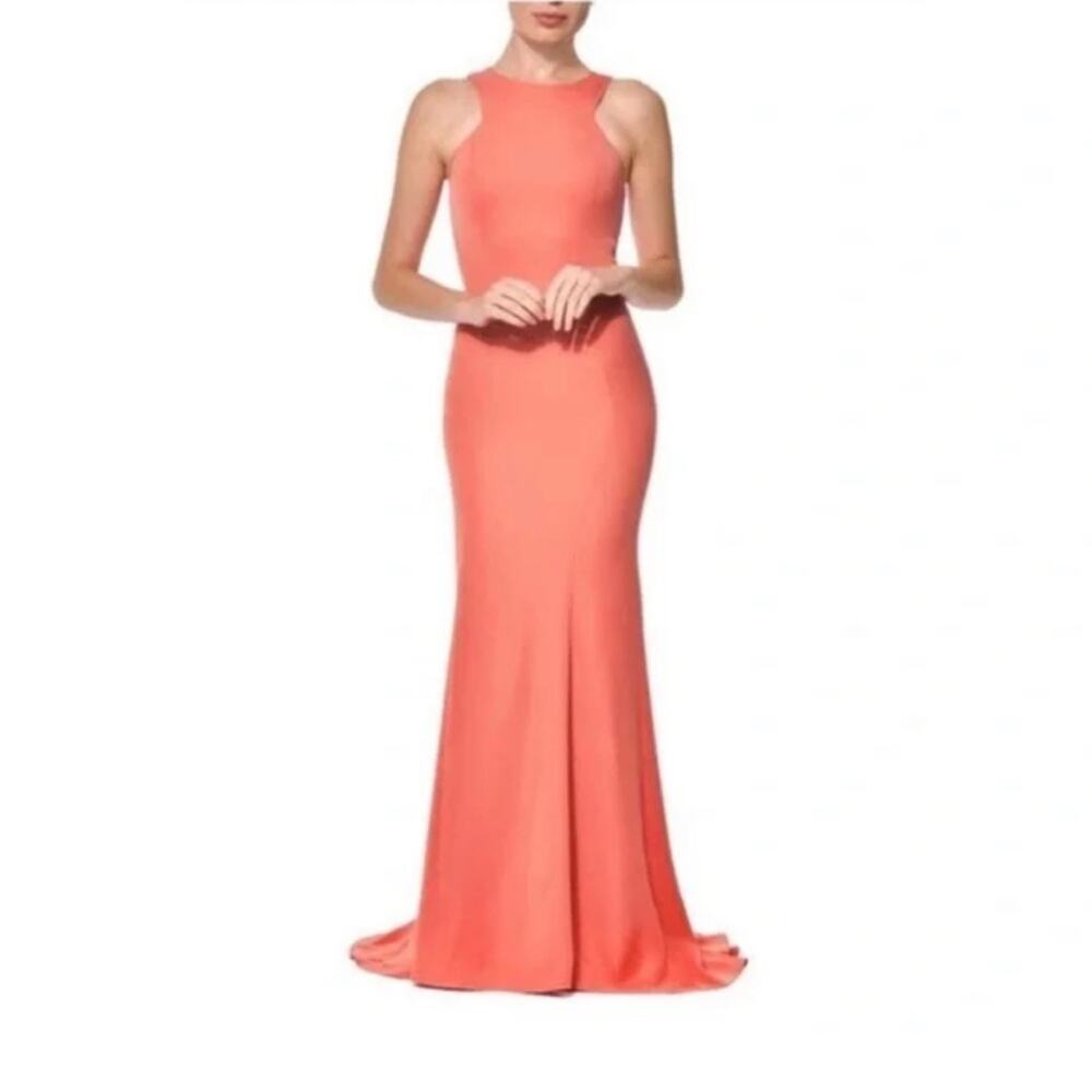 Nadine Merabi Coral Amie Gown Blush  Special Occasion Size 10